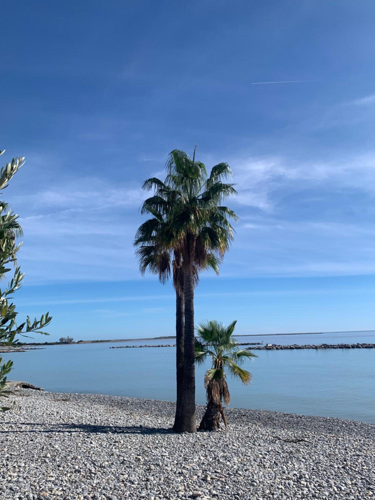 Appartement Agreable 2 Pieces A 150 M De La Cagnes-sur-Mer